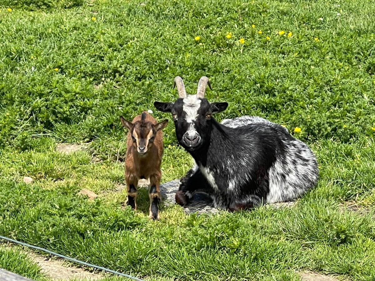 Parel van Bever - Perle de Biévène Buitenkant foto