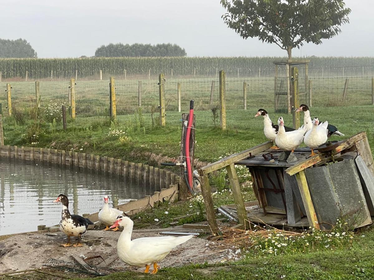Parel van Bever - Perle de Biévène Buitenkant foto