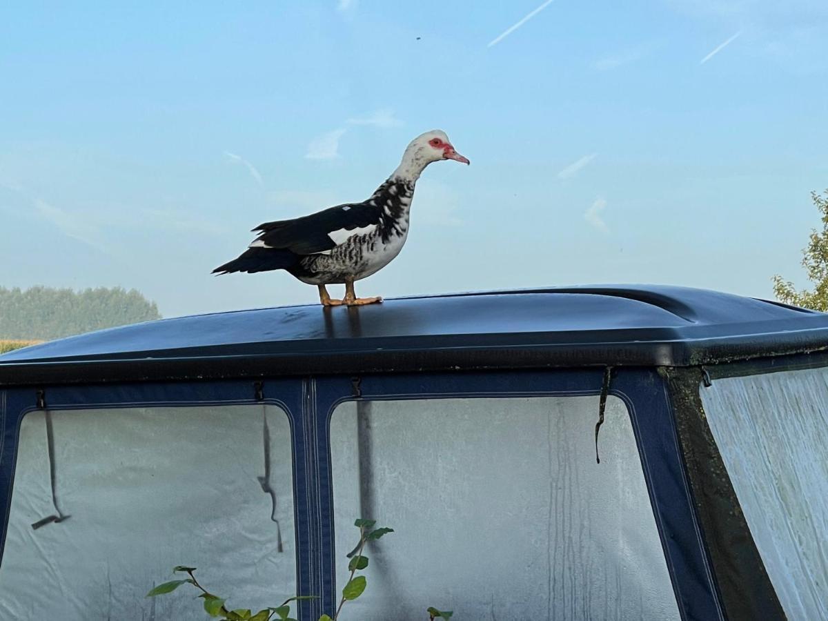 Parel van Bever - Perle de Biévène Buitenkant foto