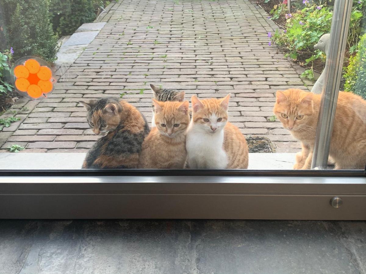 Parel van Bever - Perle de Biévène Buitenkant foto
